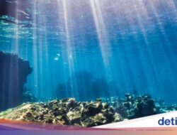 Misteri Flor de la Mar Kapal Portugis Angkut 60 Ton Emas Karam Hingga Aceh