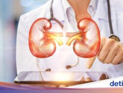 Tingginya Kadar Gula Darah Bisa Bikin Ginjal Bocor, Benarkah? Begini Faktanya