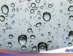 Mendadak Kerap Hujan Ke Di Kemarau, Waspadai Risiko 4 Gangguan Ini