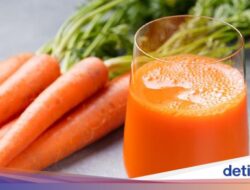 10 Jus yang Bagus Untuk Pengidap Asam Lambung, Ada Wortel hingga Seledri