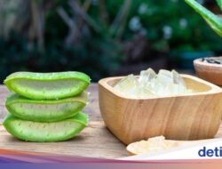 7 Terapi Nyeri Sendi Untuk Bahan Alami yang Mudah Ditemui