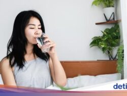 9 Minuman Detoks Ginjal, Bantu Buang Racun Di Tubuh!