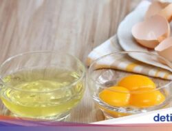 Beda Kandungan Gizi Putih dan Kuning Telur, Mau Pilih Mana Sebagai Sarapan?