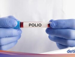 Kemenkes Sebut Ada 12 Tindak Kejahatan Lumpuh Layu Akibat Polio Di RI, Ini Sebarannya