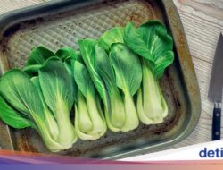 5 Manfaat Pakcoy Untuk Kesejaganan, Dukung Kekuatan Tulang-Berat Badan Ideal