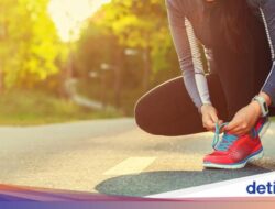 Wanita Jogging Tersesat Di Taman Safari lalu Diterkam Serigala