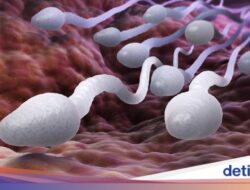 Kisah Pria Punya 1.000 Anak, Rajin Donor Sperma Sebagai Hamili Banyak Wanita