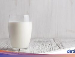 Beda Didalam UHT, Susu Pasteurisasi Memang Harus Masuk Kulkas