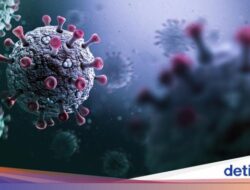 Fakta-fakta Mikroba Mematikan West Nile yang Serang Israel, Banyak Warga Masuk RS
