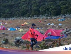 Pendaki Ilegal Diancam Blacklist Hingga Seluruh Gunung Hingga Indonesia