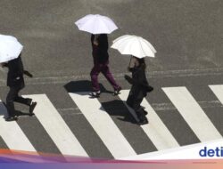 Jepang Dilanda Panas Ekstrem, Traveler Hati-hati Ya