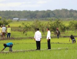 Jokowi dan Iriana Tinjau Simulasi Drone Tabur Pupuk Ke Papua Selatan