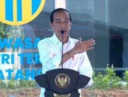 Jokowi Resmikan Kawasan Industri Terpadu Batang Seluas 4.300 hektare