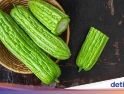 Meski Rasanya Pahit, Konsumsi Pare Punya 5 Manfaat Sehat Ini