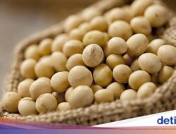 Kaya Makanan Bergizi! 5 Makanan Ini Diklaim Tersehat Hingga Dunia