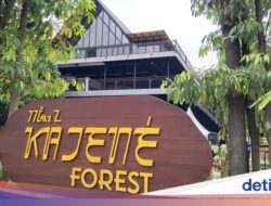 Objek Wisata Mutakhir Di Kuningan, Ada Hutan Ditengah Kota