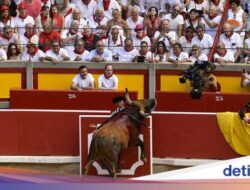 Kemeriahan Adu Banteng Hingga Negeri Matador