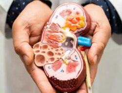 Kenali Penyebab Gagal Ginjal, Berkaca Di Kisah Viral Suami Muda yang Meninggal Dunia