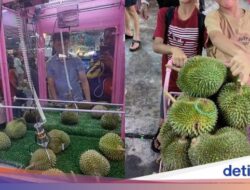 Keren! Pria Ini Berhasil Dapat 20 Durian Didalam Main Mesin Capit