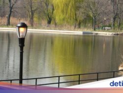 Bejat! Pria Perkosa Anak 13 Tahun Ke Taman, Warga New York pun Meringkusnya