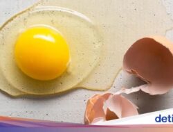 Benarkah Makan Kuning Telur Sebabkan Kolesterol Tinggi? Ini Penjelasannya