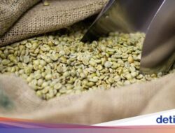 Apa Benar Minuman Green Bean Ampuh Turunkan BB? Ini Faktanya!