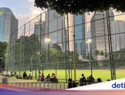 Potret Nongkrong Seru Ke Spot Terbaru: Lapangan Softball GBK