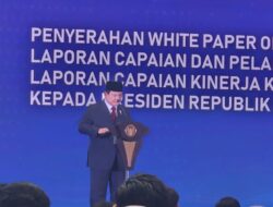 Pertarungan Persahabatan Dari Sebab Itu Pemimpin Negara, Prabowo Gantikan Jokowi Laporkan Hasil Evaluasi PSN