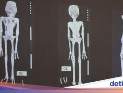 Perdebatan ‘Mumi Alien’ Di Peru, Sidik Jarinya Disebut Tak Cocok Bersama Manusia