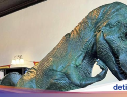 Museum Ini Teliti Tinja Binatang, Temukan Fakta T-Rex Makan Seperti Ular
