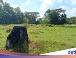 Menelusuri Sisa Kejayaan Pabrik Gula Zaman Belanda Hingga Sleman, Apa Masih Ada?