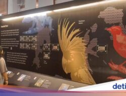 Pameran Keindahan Indonesia Timur Di Kurs Matauang Idr