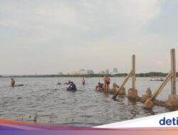 Merawat Romantisme Di Pantai Marunda Jakarta Utara