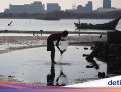 5 Fakta Pantai Marunda yang Lebih Hari Kian Bersih