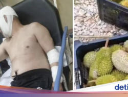 Parah! 12 Pencuri Serang Petani dan Rampas Durian Rp 10 Juta