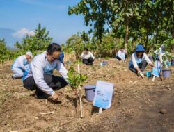 Pelita Air dan Pertamina Tanam 10 Ribu Pohon Ke Jawa Timur, Unjuk Rasa Nyata Lestarikan Lingkungan