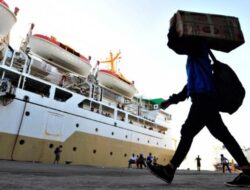 Pelni Ajukan PMN 2025 Rp2,5 Triliun, Buat Beli 2 Kapal Mutakhir