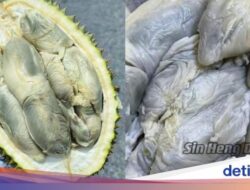 Pembeli Ini Penolakan Diberi Durian Busuk Ternyata Jenis Durian Enak