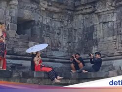 Viral Bule-bule Nyanyi buat Sejoli yang Lagi Prewedding Di Candi Plaosan