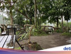 Terdengar Keminggris, ternyata Jawa Asli Lurrrr…