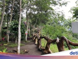 Pesona Tankaman Natural Park, Karya Seru Bersama Pemandangan Bukit Hijau