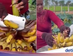 Bikin Heran! Wanita Ini Goreng Pisang Sekaligus Kulitnya