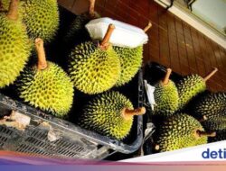 Jualan 400 Kg Durian Ke Sekolah hingga Tempat Makan Hidden Gem Ke Tebet