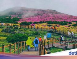 Pulau Jeju Dihantam Perdebatan, Mahal dan Layanan Buruk