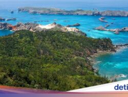 Seru! Jepang Akansegera Gelar Event Petak Umpet Ke Pulau Tak Berpenghuni