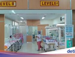 Heboh! Bayi Kembar Lima Lahir Hingga Indramayu, Begini Kondisinya