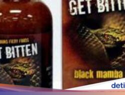 10 Saus Terpedas Di Dunia yang Dapat Membakar Lidah!