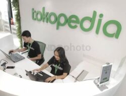 Soal Rasionalisasi SDM TikTok-Tokopedia, Begini Pandangan Apindo