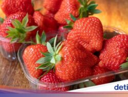 7 Manfaat Buah Stroberi yang Jarang Diketahui, Termasuk Cegah Penuaan