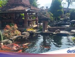 Unik! Ke Klaten Bisa Makan Enak Ditemani Ikan Koi dan Suasana Asri